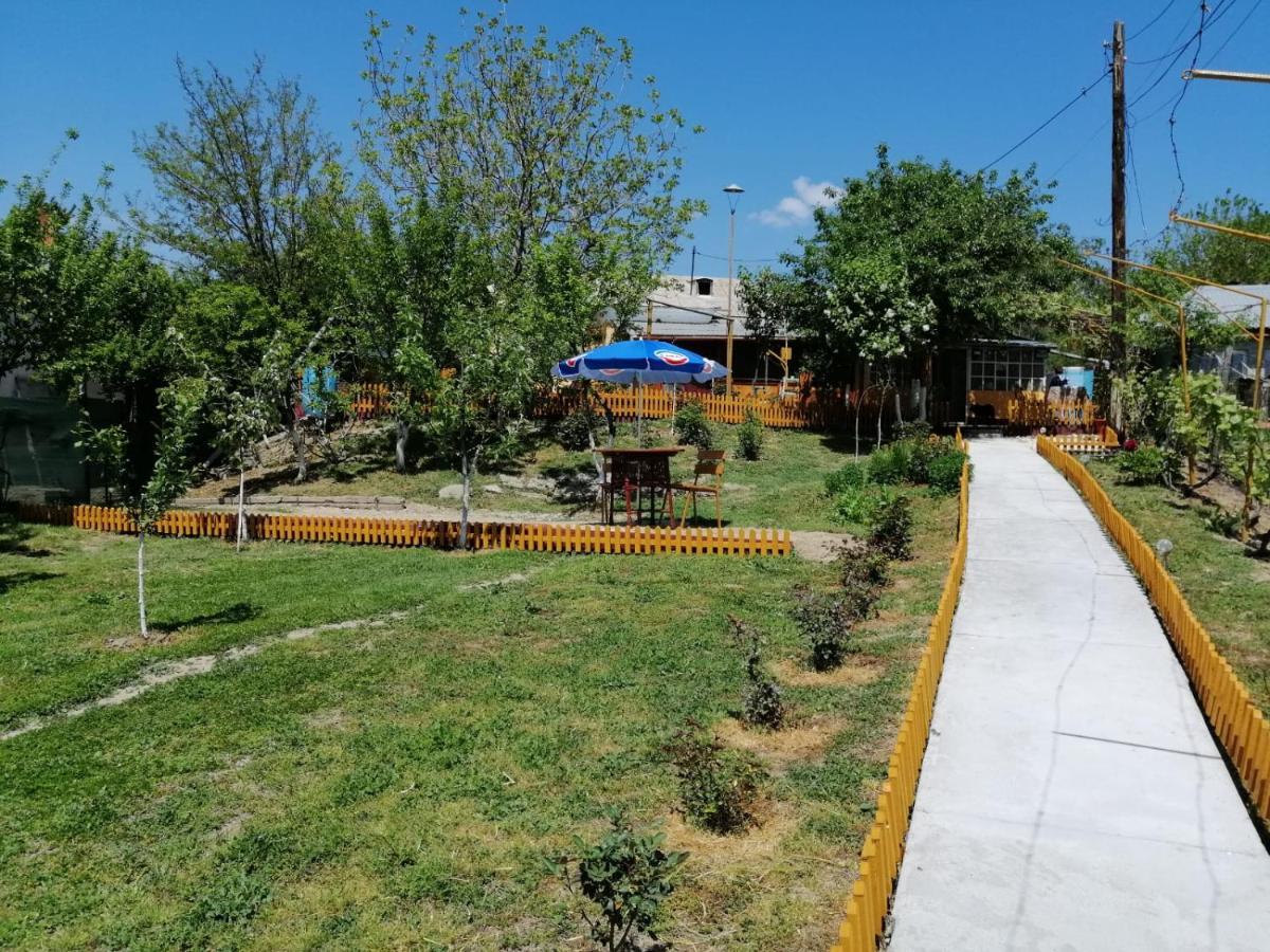 דירות Turnu Măgurele Rustic House מראה חיצוני תמונה