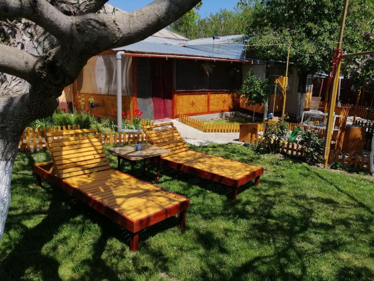 דירות Turnu Măgurele Rustic House מראה חיצוני תמונה