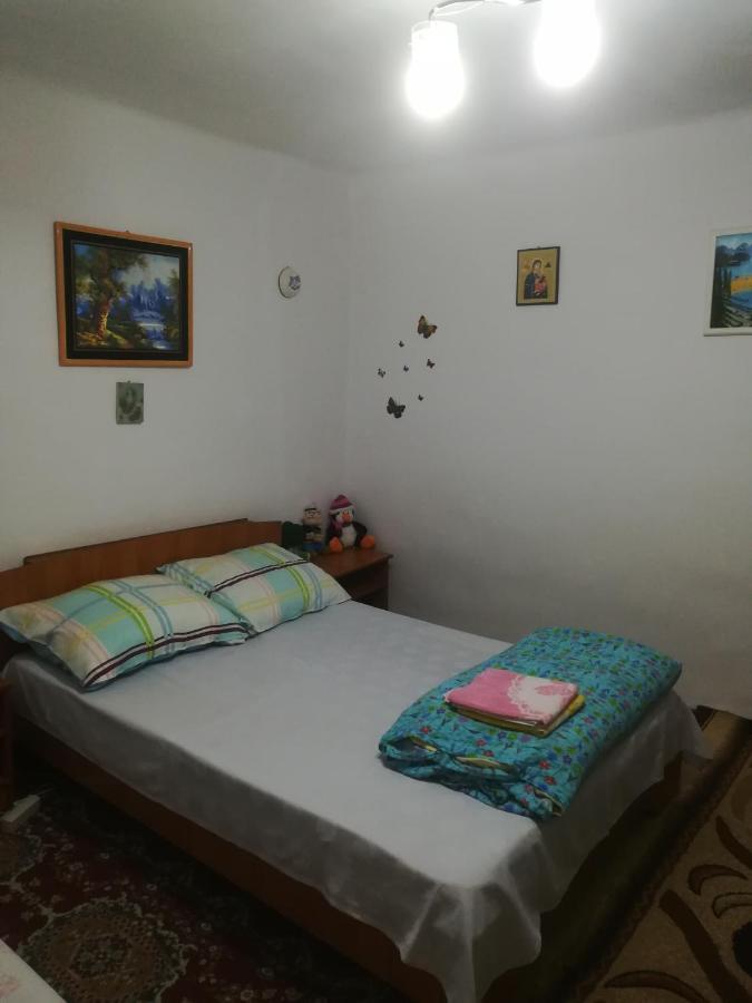 דירות Turnu Măgurele Rustic House מראה חיצוני תמונה