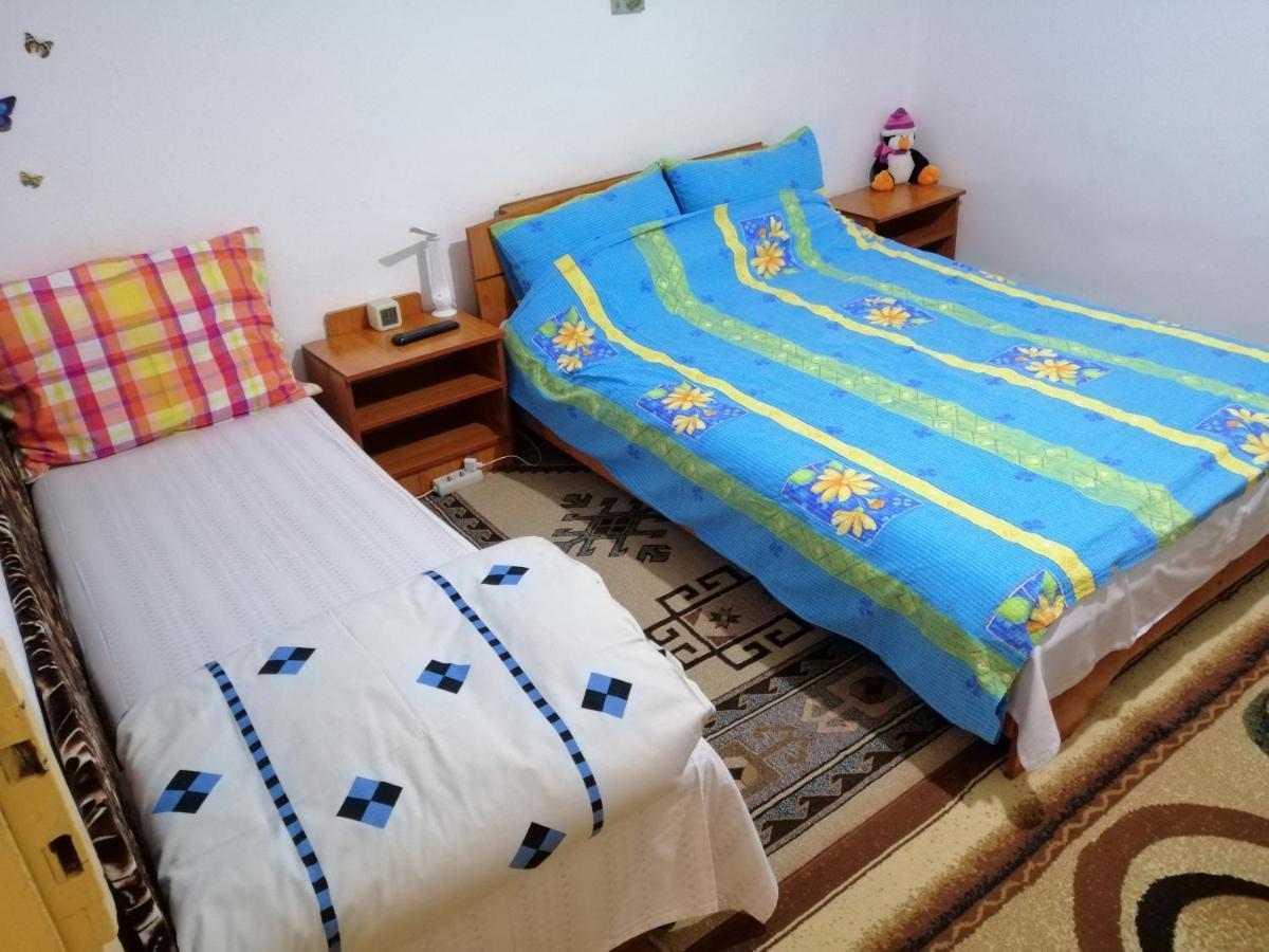 דירות Turnu Măgurele Rustic House מראה חיצוני תמונה