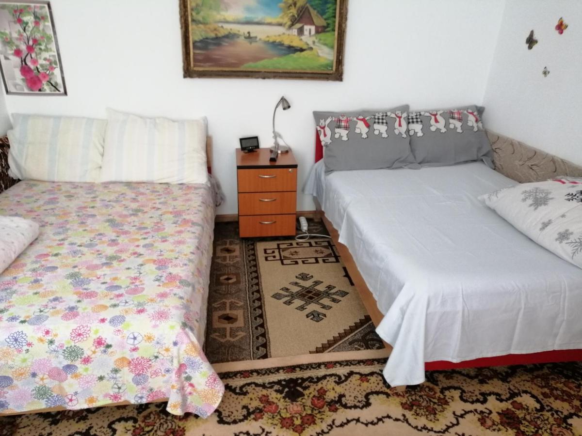דירות Turnu Măgurele Rustic House מראה חיצוני תמונה