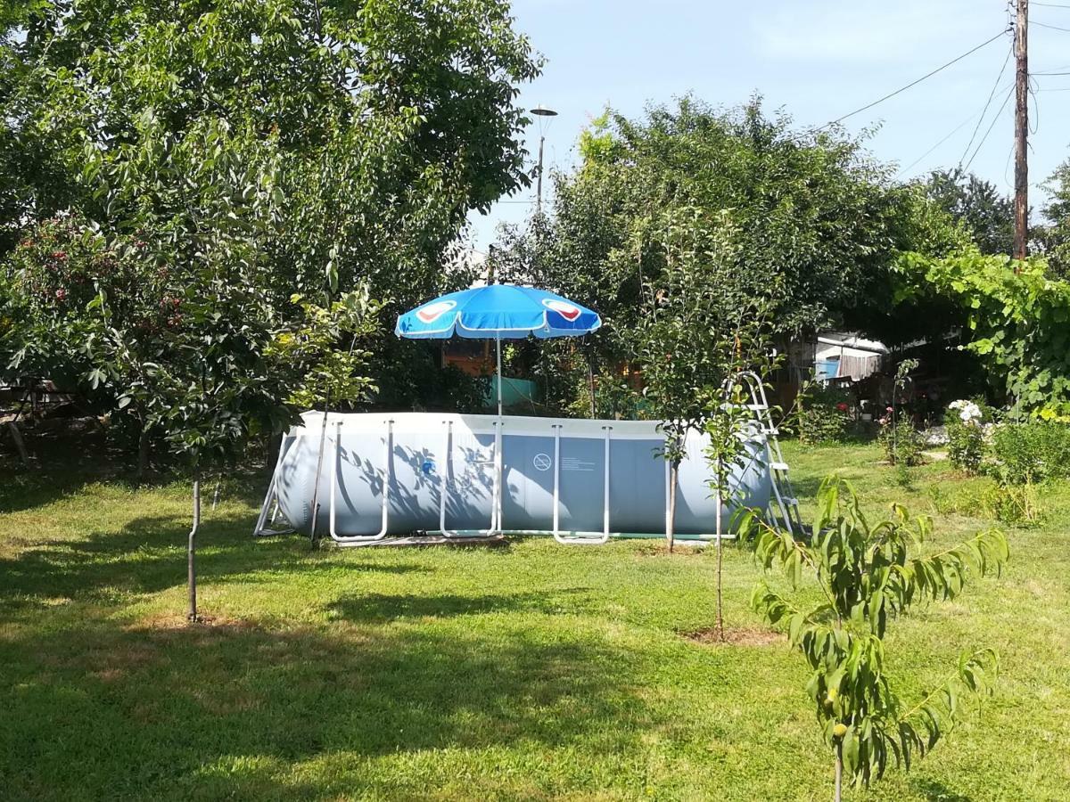 דירות Turnu Măgurele Rustic House מראה חיצוני תמונה